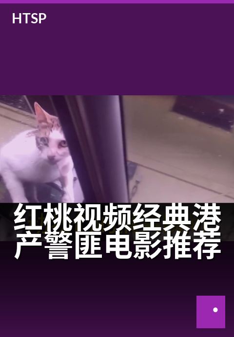红桃视频经典港产警匪电影推荐 - 热门作品口碑推荐