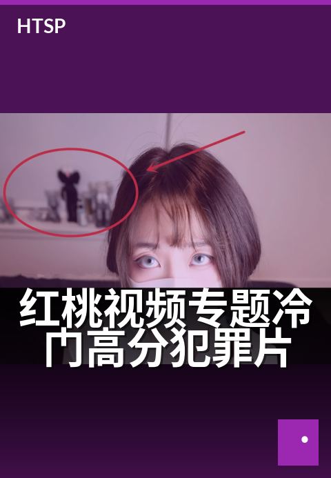红桃视频专题冷门高分犯罪片 - 八部被低估的犯罪神作