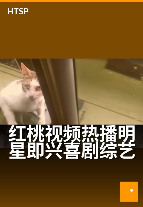 红桃视频热播明星即兴喜剧综艺 - 笑到飙泪的临场飙戏现场