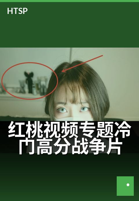 红桃视频专题冷门高分战争片 - 解锁被低估的战争史诗