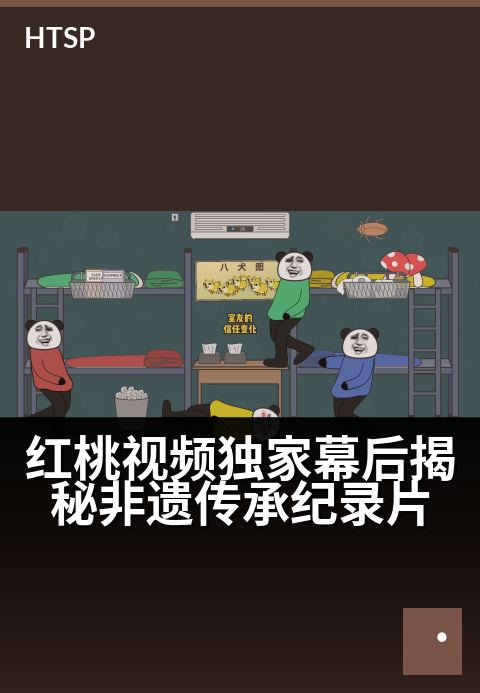红桃视频精选幕后揭秘非遗传承纪录片 - 守艺人精选纪实：镜头后的非遗心跳
