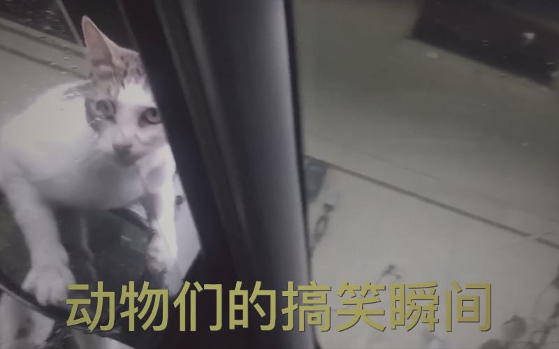剧集中角色在审讯室中面对强光照射的紧张场景