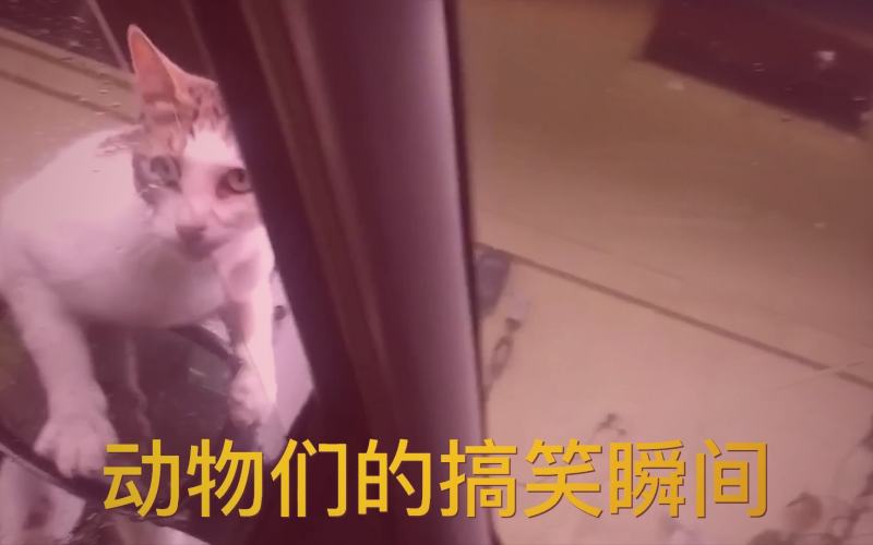 《时光恰好遇见你》剧照，男女主角在雨中共撑一把伞，氛围温馨甜蜜